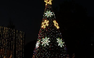 Finding Christmas Cheer In Hyderabad: Events And Activities