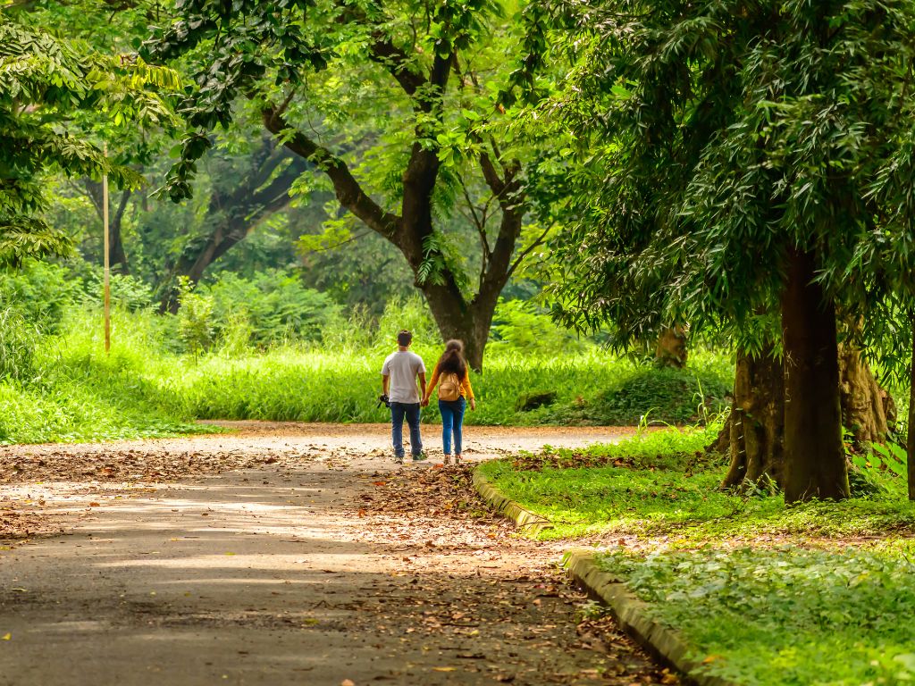 enjoy a peaceful walk