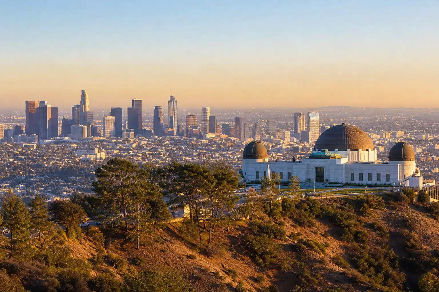 La La Land festival grounds